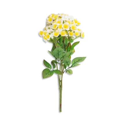 MMM-1362-1_ بنش زهرة الاقحوان_أبيض