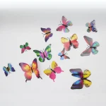 MMM-470-2_Colored 3_ملصقات فراشات ملونة بمغناطيس ولاصق