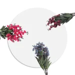 بنش ورد جوري بيبي، MMM-1342_All_3