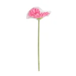 وردة دوار الشمس كبيرة مفردة، MMM-1353-4_Dark_Wardy (2)