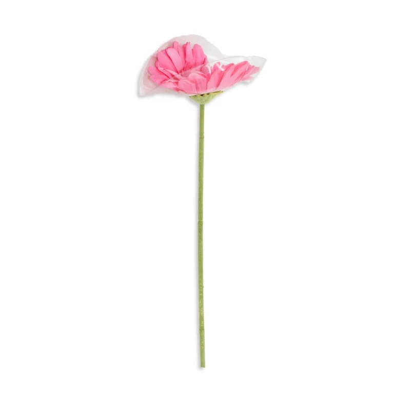 وردة دوار الشمس كبيرة مفردة، MMM-1353-4_Dark_Wardy (2)